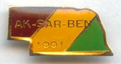 1991 Pin Image