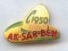 1950 Pin Image