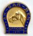 1971 Racing Official Pin Image